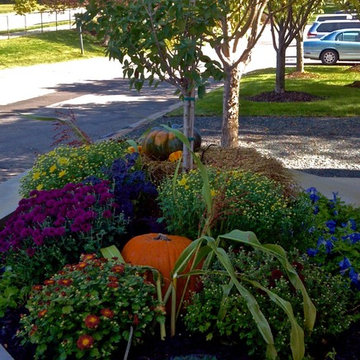 Softscape (Flowers, Flower beds and more)