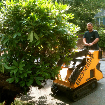 True Fine Garden Horticultural Service
