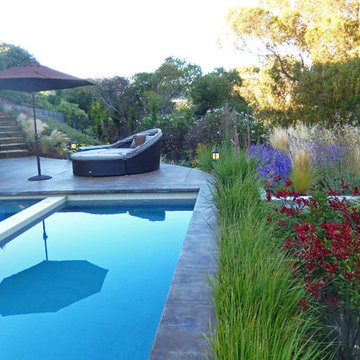 Mill Valley Hillside Garden