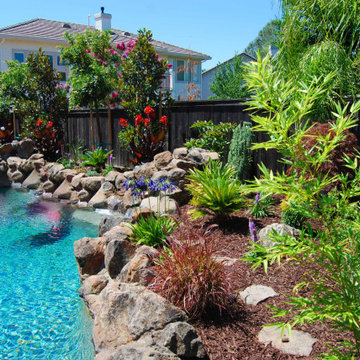 Premier Landscape Design
