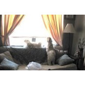 Evette Utley's photo