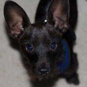 Beth Higginbotham's photo