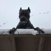 Elizabeth Brecount's photo