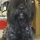 leslie_greenwood7847