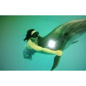 Sari Wang's photo