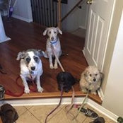 Ted Berlinghoff's photo