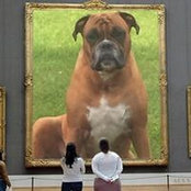 Susan Murray's photo