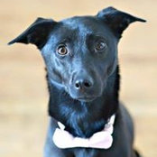Alyson Gabriel's photo