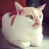 Foto von Phong Dao
