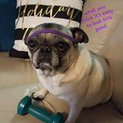 Elizabeth Wilcoxon's photo