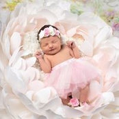 Krystal Wimberly's photo