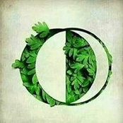 Barış Yenidünya's photo