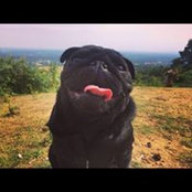 Selina May's photo