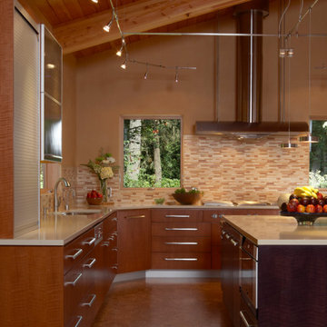 Contemporary NW Kitchen