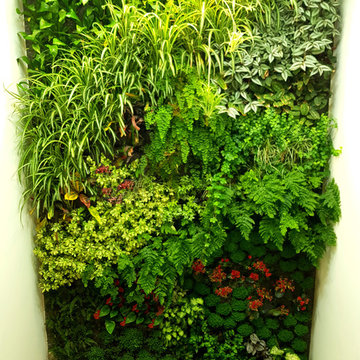 JARDINES VERTICALES
