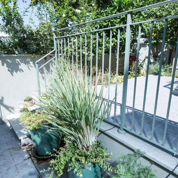 Green and Gray in Israel
