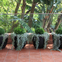 balcony gardens