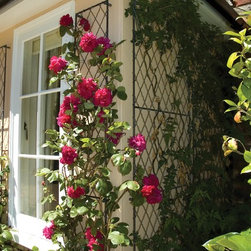 Wall Trellis - Pergolas, Arbours & Trellises
