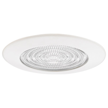 6" Fresnal Glass Shower Trim