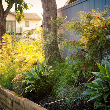 Greens, Greys and Texture Variations- Front Yard