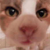 Susan Murrieta's photo