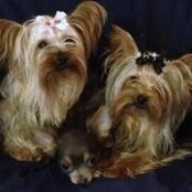 Foto de Claudia Martello Ginter