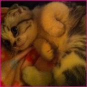 Kassy Daniels's photo