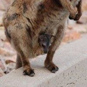 Senpei Jin's photo