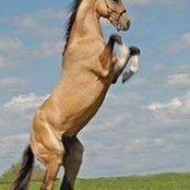 Celia Arbogast's photo