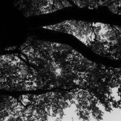 Deborah Young's photo