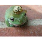 Mari Mier's photo