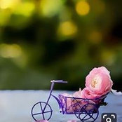 ءايات لطفي's photo