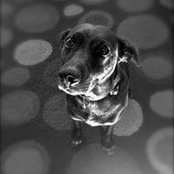 Andrew Grenier's photo