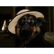 Al Schneider's photo