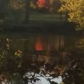 Cris Bacon's photo