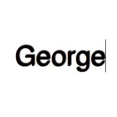 George Professional Home Improvement Services