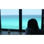 Joann Jin's photo