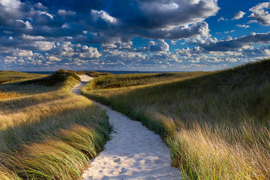 Martha's Vineyard Dune Path Photography