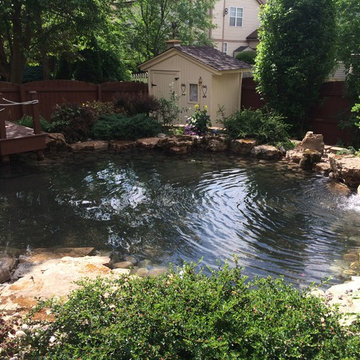 Bartlett pond to swimming pond