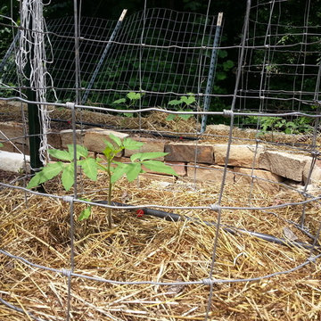 Rock Raised Veggie Garden Bed