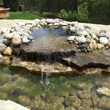 Above Ground Koi Pond