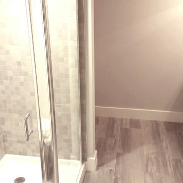 Basment remodel