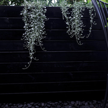 Ramat Hasharon / Sade