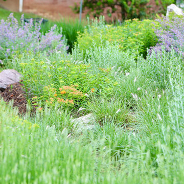 Front Yard Pollinator Paradise