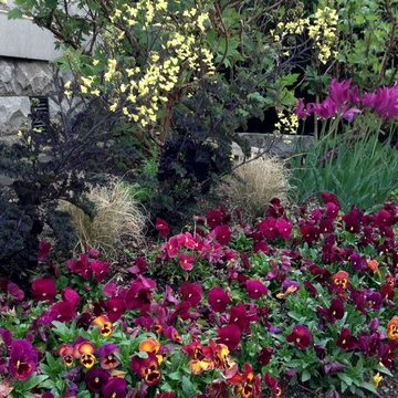Garden Services & Lawn Maintenance