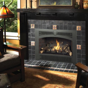 Fireplace Xtrordinair
