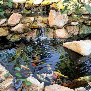 Pool, Spa & Water Features