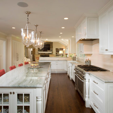 2014 NARI CotY Finalist Award Winner - Alexandria Transitional Kitchen and Great