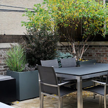 container planting