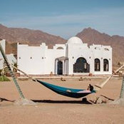 Ahmed Hatem's photo